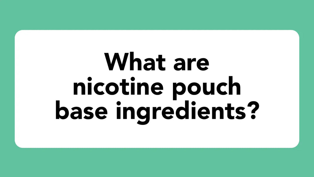 What are nicotine pouch base ingredients?