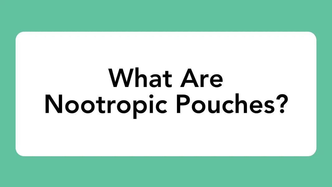 What Are Nootropic Pouches?