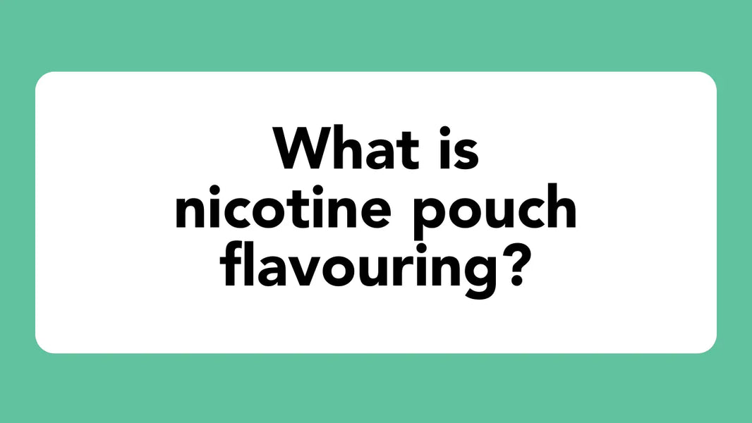 What is nicotine pouch flavouring?