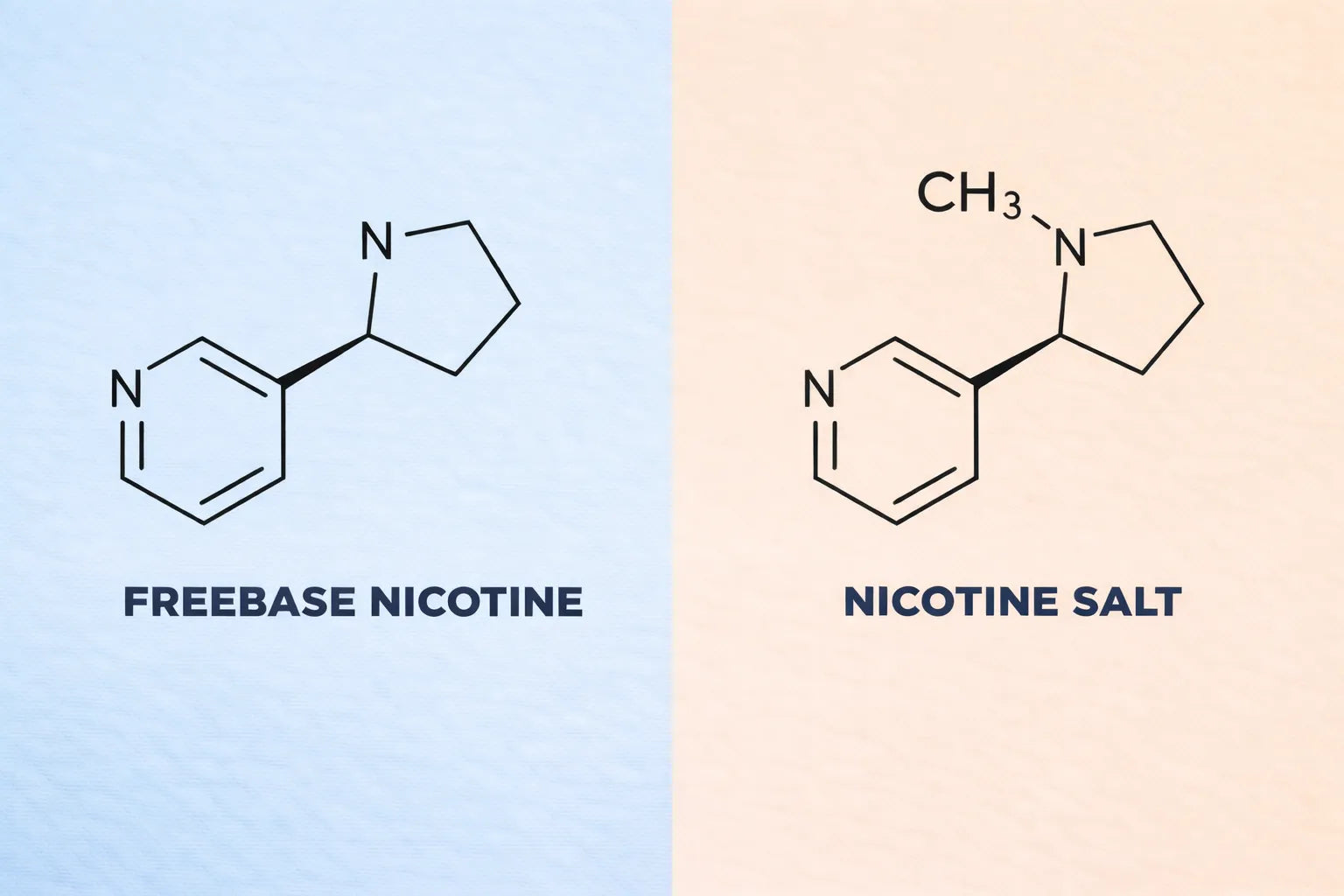 Molecular structures of freebase nicotine and nicotine salt on a two-tone background