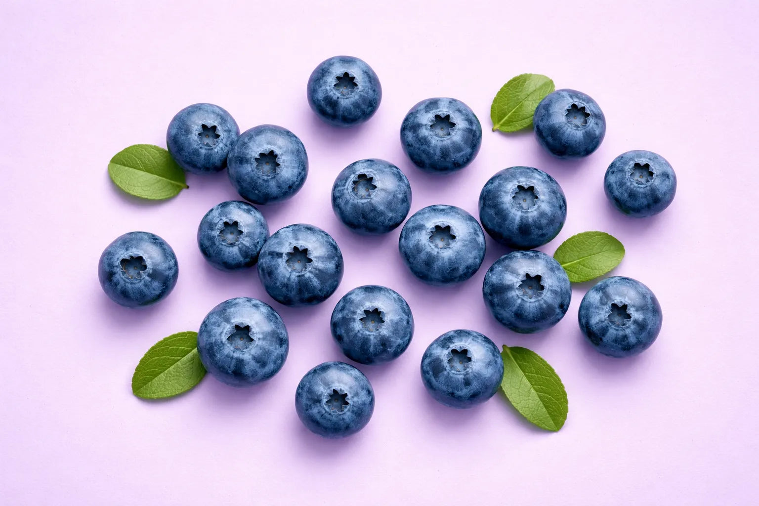 Blueberries with green leaves on a pink background